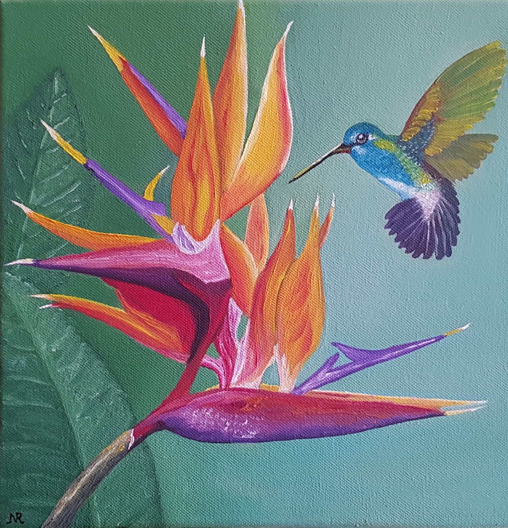 Nina Rocu - Oiseau de paradis - 30x30 - huile sur coton